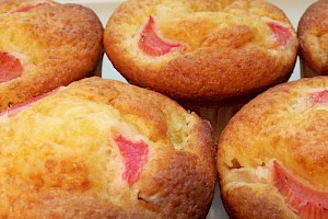 Rhabarber-Muffins